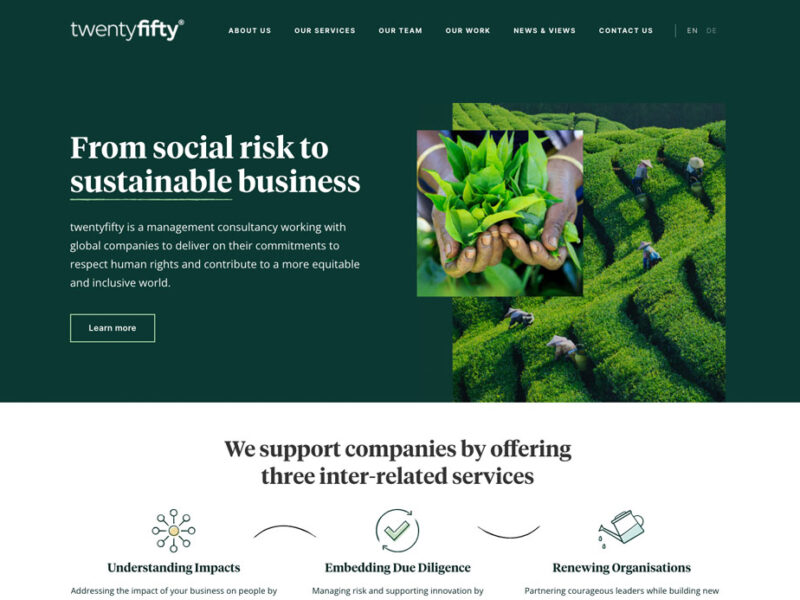 twentyfifty – WordPress development